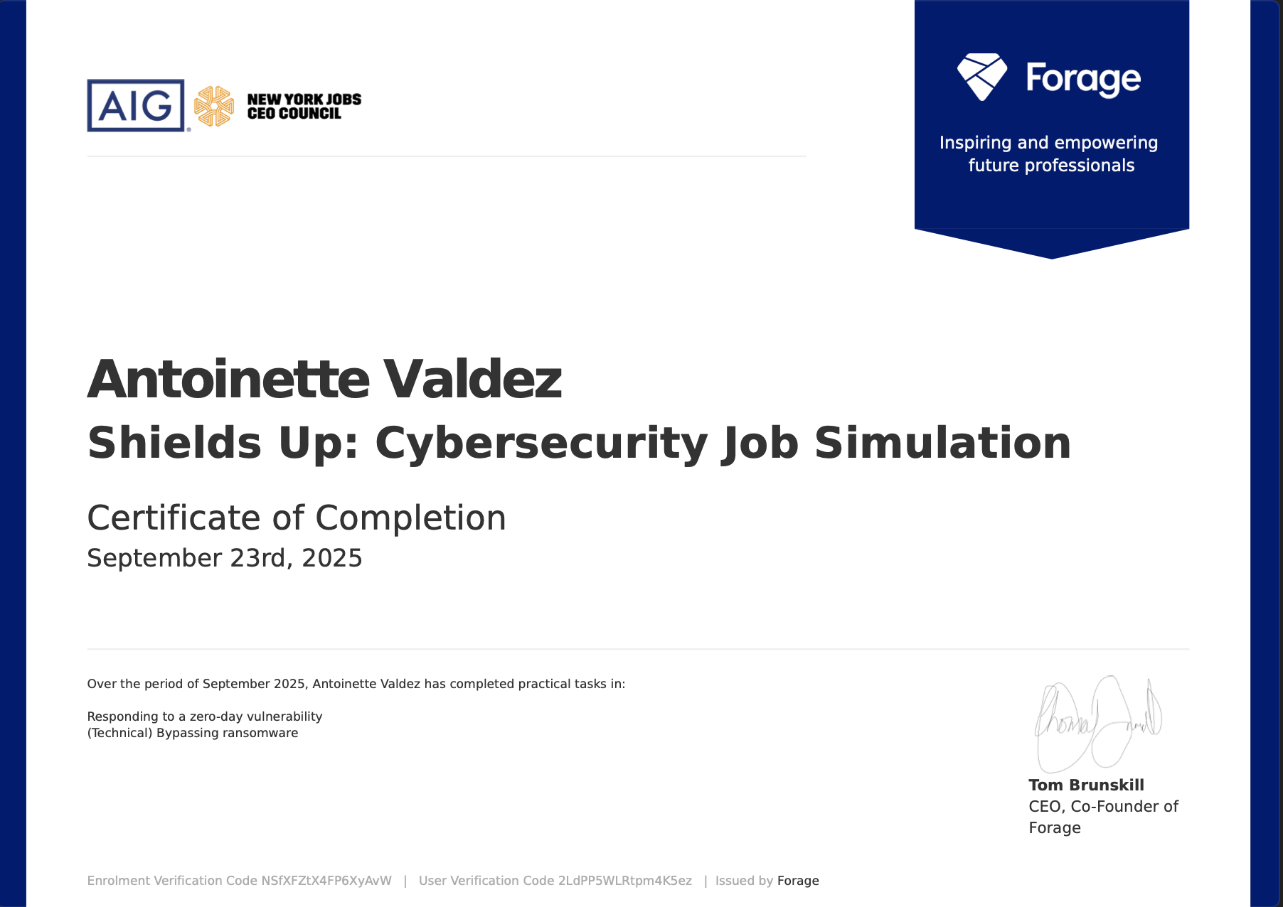 AIG Cybersecurity Job Simulation